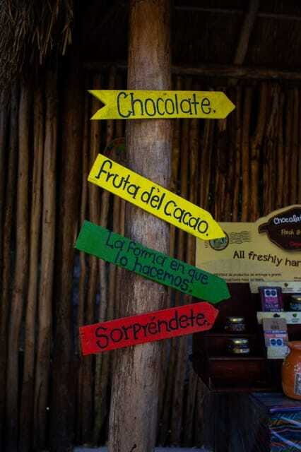 ATV 4×4+Snorkeling+Beach Club+ Lunch+Sabores de Cozumel - FAQ