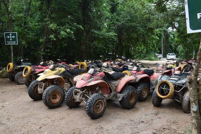 ATV adventure with Zipline And Jump in Cenote (lunch included) - The Sum Up