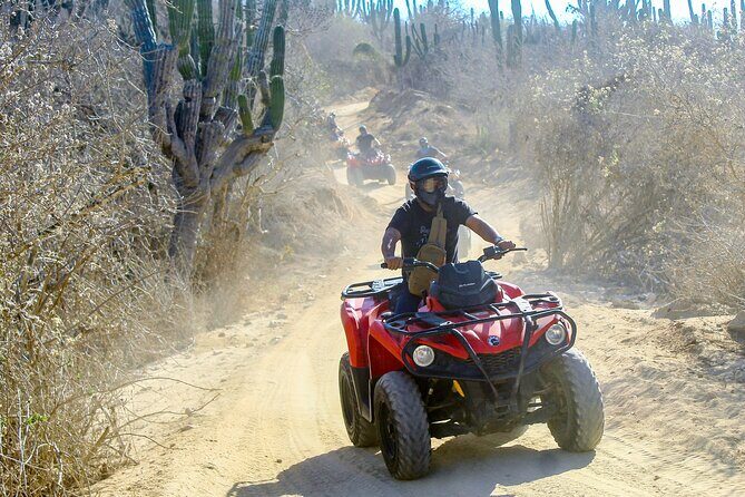 ATV and Camel Experience Los Cabos - The Landscape and Terrain