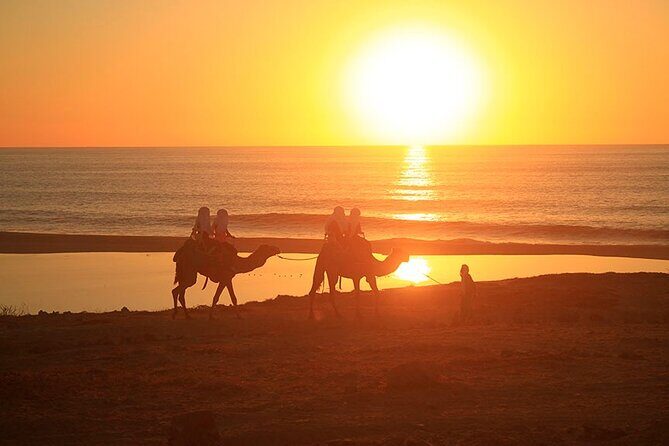 ATV and Camel Ride Combo Adventure in Los Cabos - Key Points