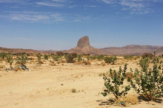 ATV Desert Adventure in Baja California Sur with Tequila Tasting - Authenticity and Unique Features