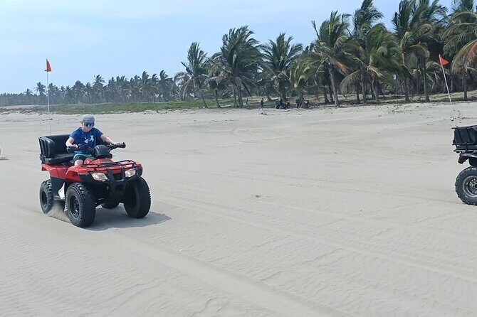 ATV Island Escape Excursions - Who Should Consider This Tour?