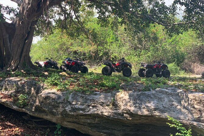 ATV Jungle Adventure to Hidden Mayan Ruins and Caves - The Sum Up