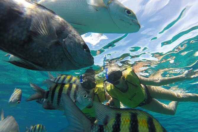 ATV Mud Kicking and Snorkeling by Boat in Cozumel - Pricing and Value Analysis