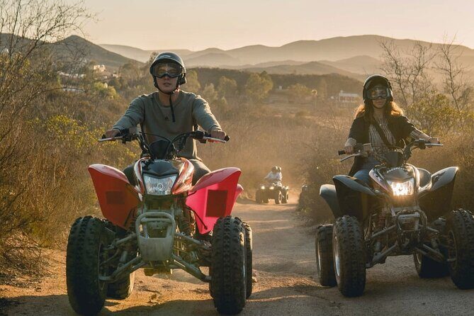 ATV Off Road Adventure through Valle de Guadalupe Wine tasting - The Sum Up