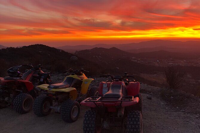 ATV Off-Road Adventure through Valle de Guadalupe + Winery Visit - Group Size and Guided Nature