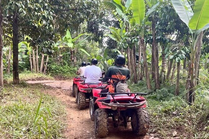 ATV Quad Bike Adventure from Hoi An or Danang - Authentic Experience and Reviewer Insights