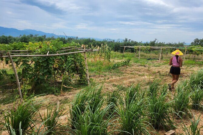 ATV Quad Bike Hoi An Adventure - Why This Tour Works for Different Travelers