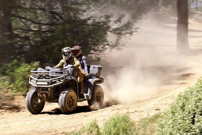ATV Rentals for Outdoor Adventure near Orlando and Tampa - Who Should Consider This Tour?