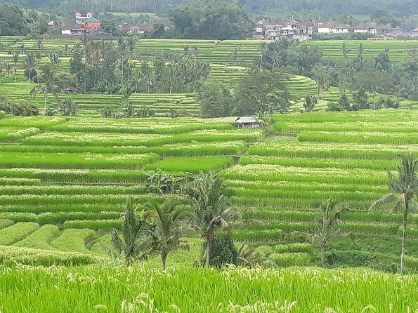 ATV Ride & 2 Hours Lulur SPA Package - Value and Practical Details