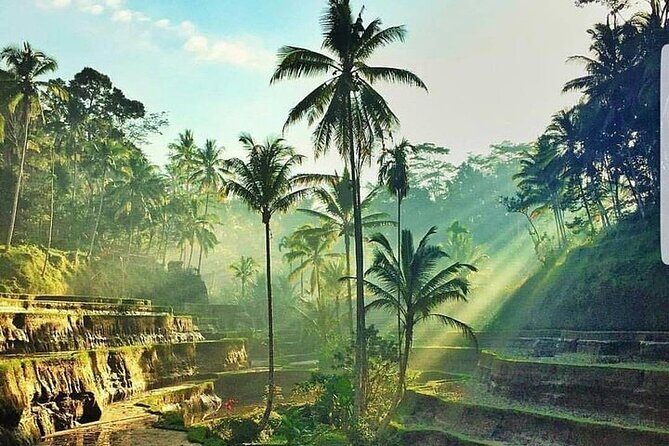 ATV Ride & Ubud Tour - Practical Details and What to Expect