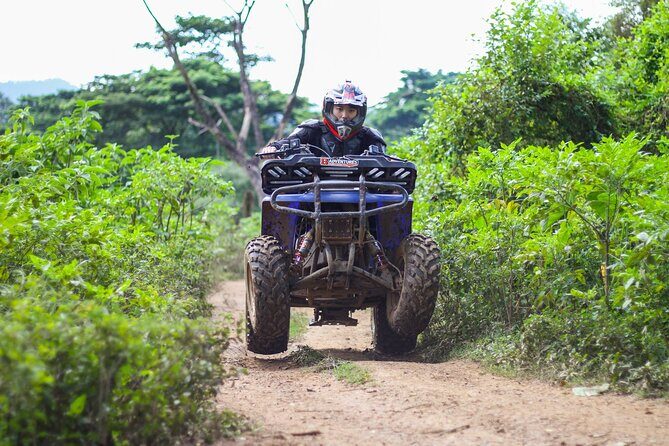 ATV Safari 3 Hrs & Jungle Trekking Day Tour From Chiang Mai - An In-Depth Look at the Adventure