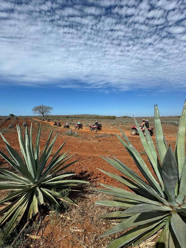 ATV & TEMAZCAL COMBO TOUR - The Sum Up