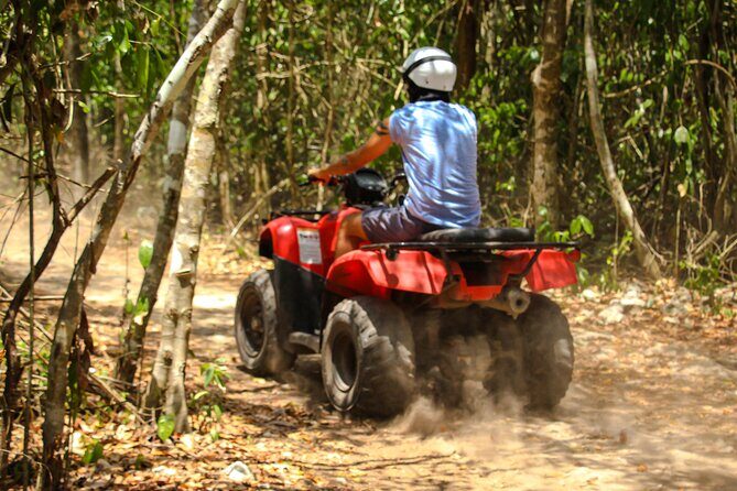 ATV Tour and Cenote Experience in Cozumel - The Itinerary: What to Expect from Start to Finish