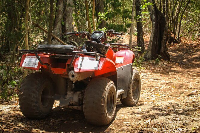 ATV Tour and Cenote Experience in Cozumel - Final Thoughts