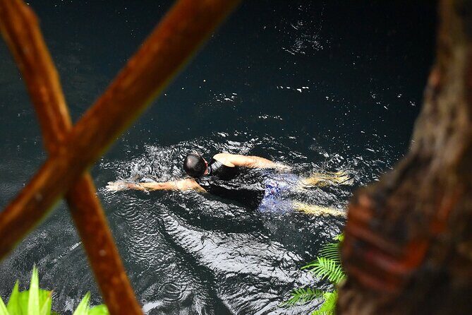 Atv Tour In Cancun (swim Cenote, Tarzan Jump And 5 Ziplines Included) - An In-Depth Look at the Tour Experience