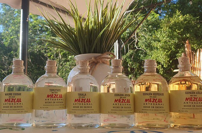 Atv Tour in Cozumel 4 Hours Adventure Relax And Tasting - FAQ