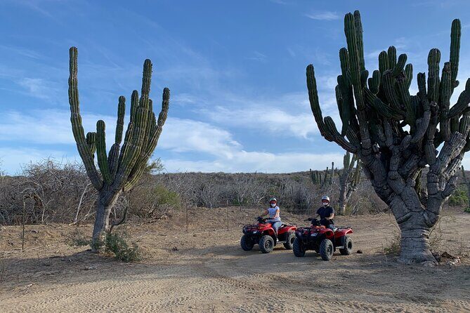 ATV Tour: San Jose del Cabo Hidden Beaches & Desert Trail - Final Thoughts