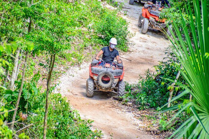 ATV Tour, Ziplines, Mayan Cenote, Tacos, Tequila and Transport - The Heart of the Tour: Jungle Activities