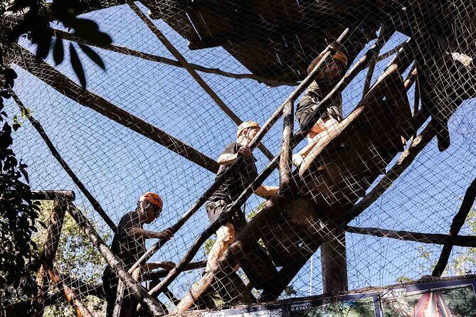 ATV Xpress Adventure, Cave Cenote Swim and Lunch - Who Will Love This Tour?