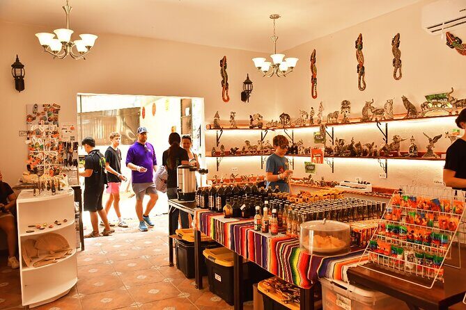 ATV Zipline Cenote Adventure from Playa del Carmen - The Itinerary: What You Can Expect