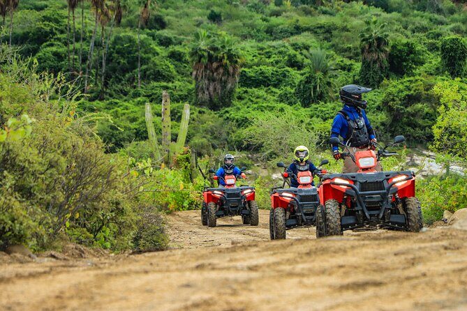 ATVs, UTVs, and Camel Ride in All Access Adventure Park and Beach - The Sum Up: Is It Worth It?