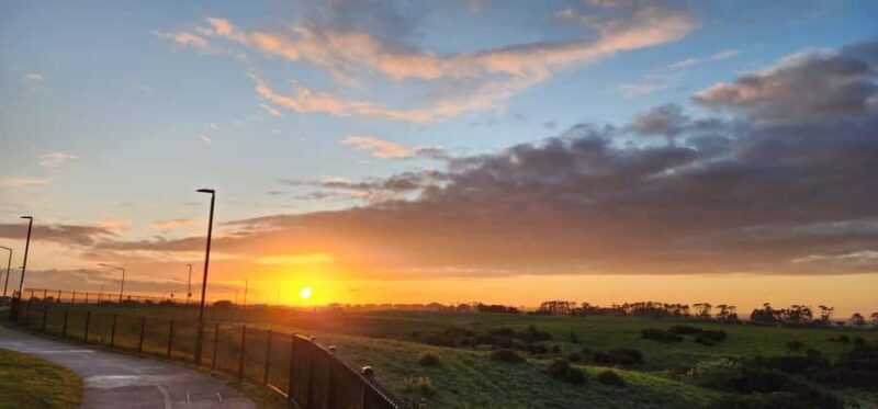 Auckland: Auckland City Tour 4 hours private - The Itinerary in Detail