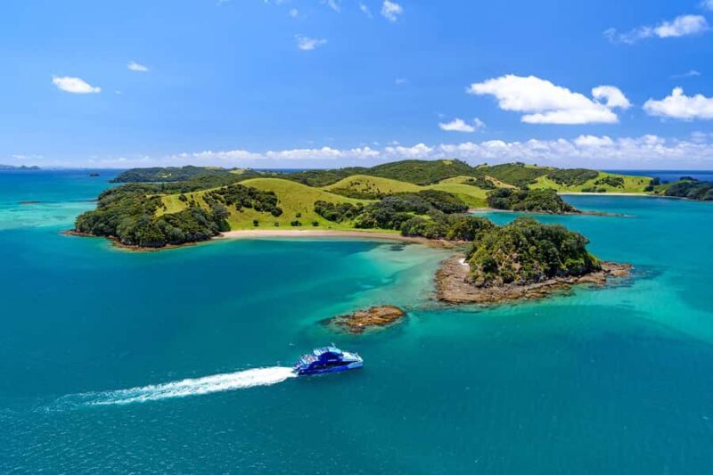 Auckland: Bay of Islands Day Tour with Dolphin Cruise - Key Points