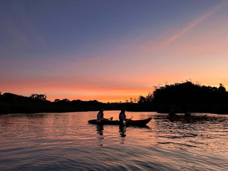 Auckland: Bioluminescence Kayak Tour with Guide - An Introduction to the Experience