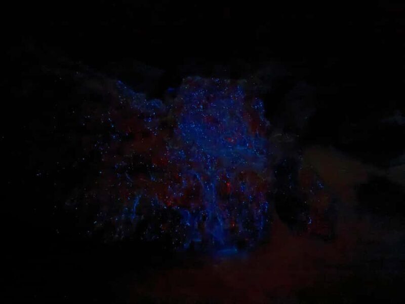 Auckland: Bioluminescence Kayak Tour with Guide - The Value of the Experience