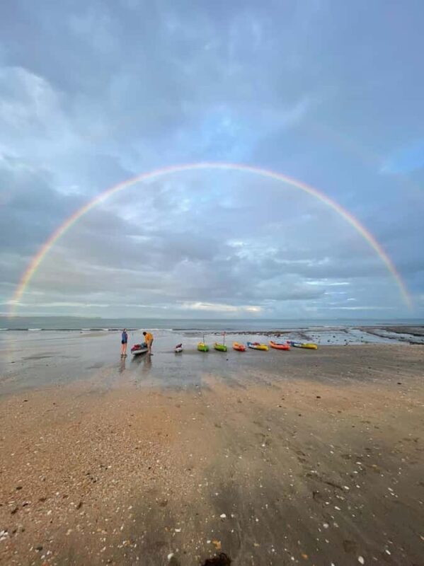 Auckland: Bioluminescence Kayak Tour with Guide - Final Thoughts: Is It Worth It?