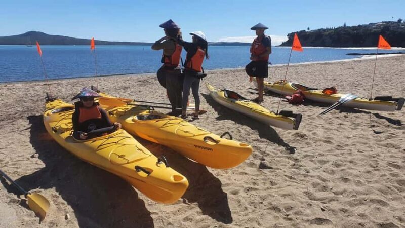 Auckland: Browns Island (Motukorea) Sea Kayak Tour - The Sum Up