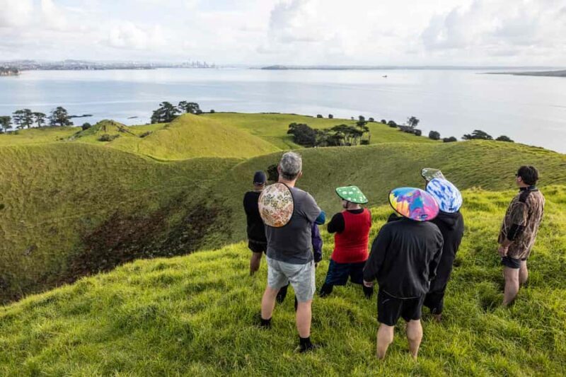 Auckland: Browns Island (Motukorea) Sea Kayak Tour - FAQ