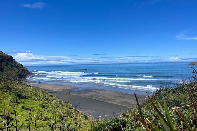 Auckland City and West Coast Black Sand Beach Full Day Tour - Auckland City and West Coast Black Sand Beach Full Day Tour Review