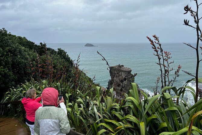 Auckland City and West Coast Black Sand Beach Full Day Tour - An In-Depth Look at the Tour Itinerary