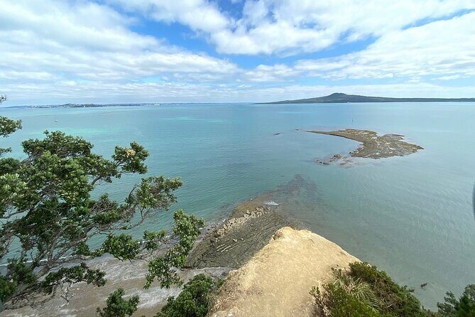 Auckland City and West Coast Full Day Tour - A Complete Breakdown of the Tour