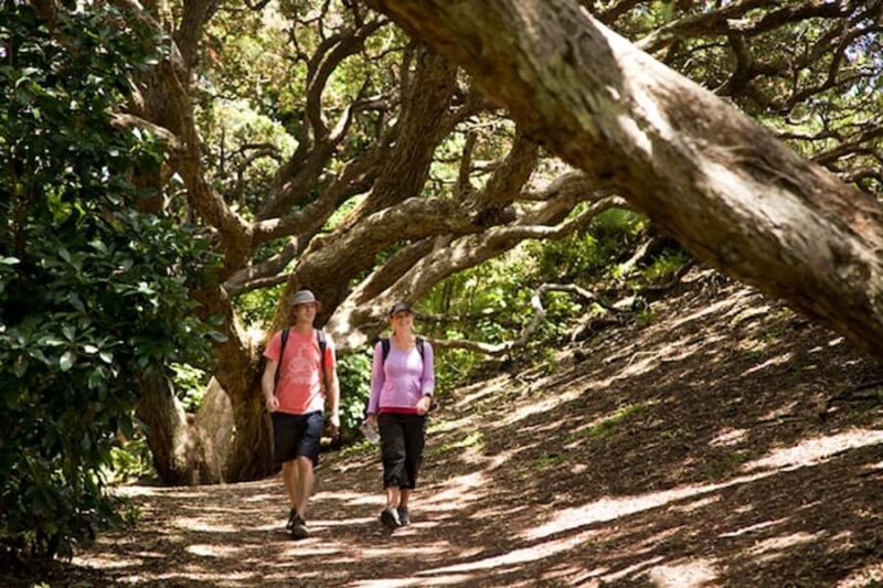 Auckland City and West Coast Luxury Tour - An In-Depth Look at the Auckland City and West Coast Luxury Tour