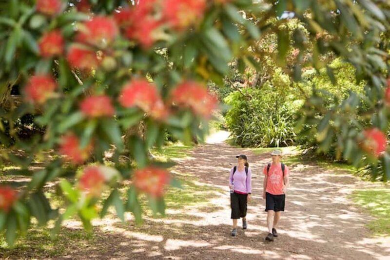 Auckland City and West Coast Luxury Tour - FAQ about the Auckland City and West Coast Luxury Tour