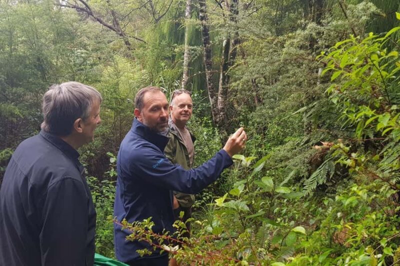 Auckland City, Beaches & Rainforest Premium Small Group Tour - FAQ