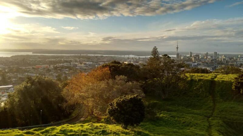 Auckland City Full Tour -PRIVATE TOUR - FAQ