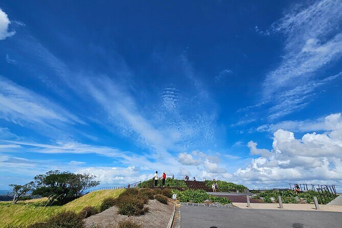 Auckland City Halfday Guide Tour - Authenticity and Review Highlights