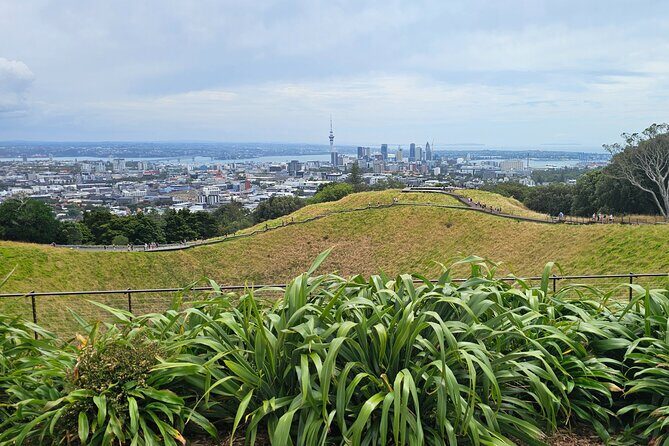 Auckland City Halfday Private Tour - The Sum Up: The Real Value of This Experience