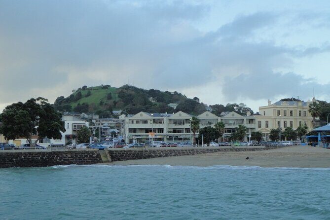 Auckland City Halfday Tour - What Tour Participants Say