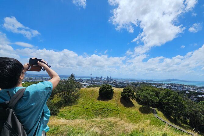 Auckland City Highlight Halfday Tour - Key Points