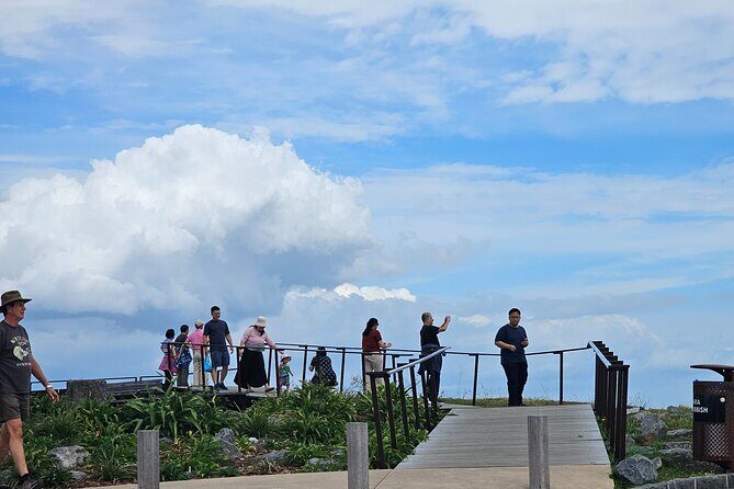 Auckland City Highlight Halfday Tour - What Travelers Say