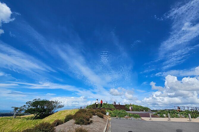Auckland City Highlight Halfday Tour - Who Will Appreciate This Tour?