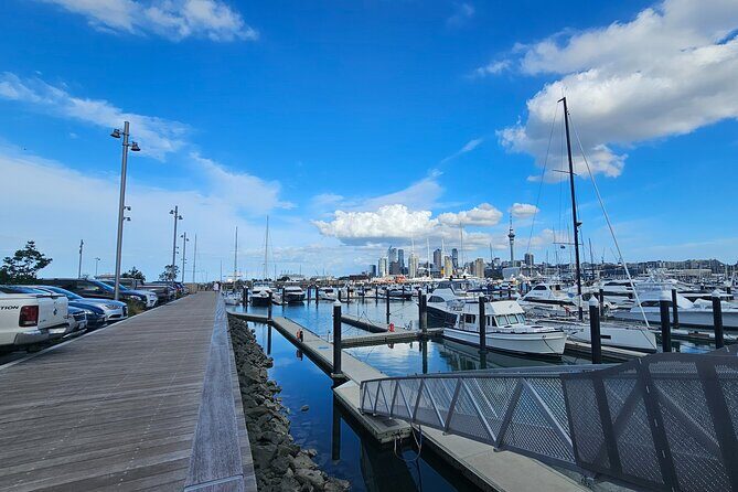 Auckland City Highlight Halfday Tour - The Sum Up