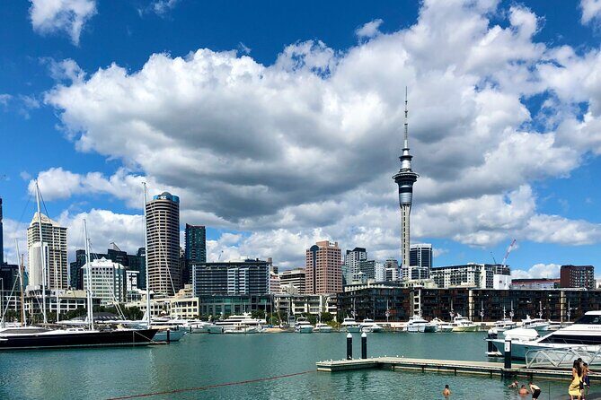 Auckland City Highlights and Hidden Gems Half Day Tour - In-Depth Look at the Tour Itinerary