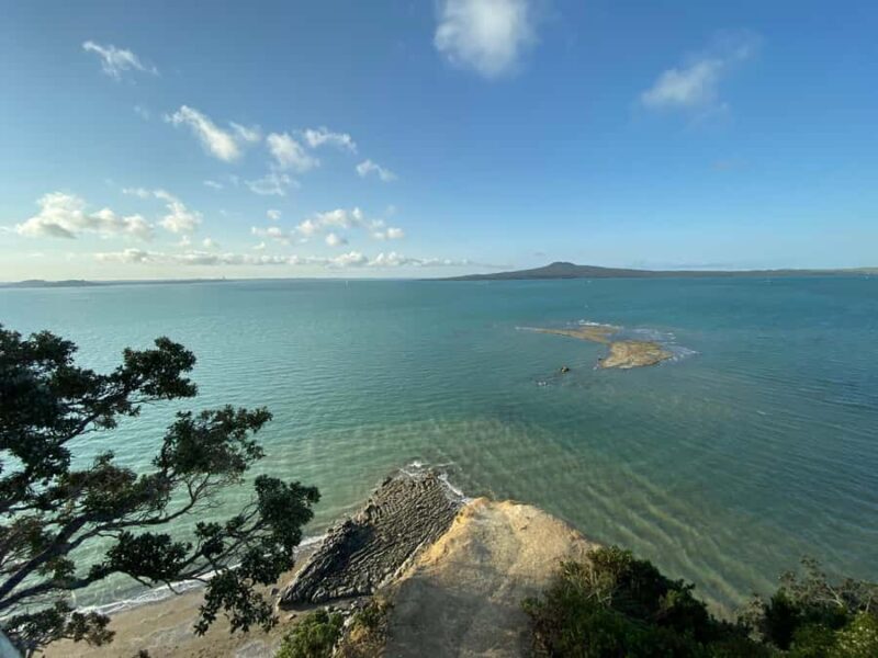 Auckland: City Highlights and Native Forest Experience - Transition to the Wilderness: The Waitakere Ranges and Rainforest Walks