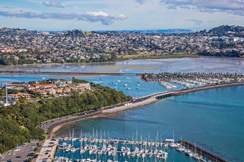 Auckland: City Highlights and Native Forest Experience - Practical Considerations and Value